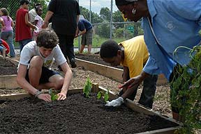 Gardening at Campbell St. Community Center.