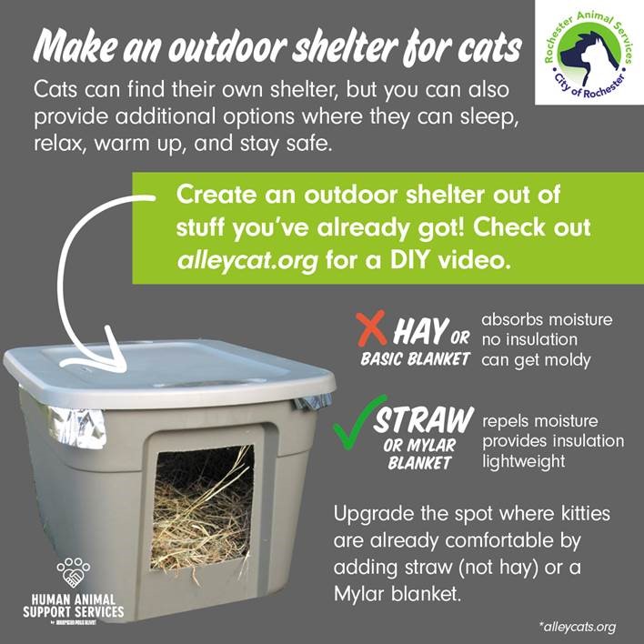 Infographic - Make an outdoor shelter