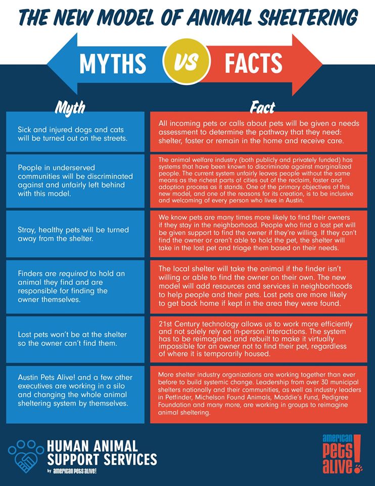 Myths vs Facts Infographic