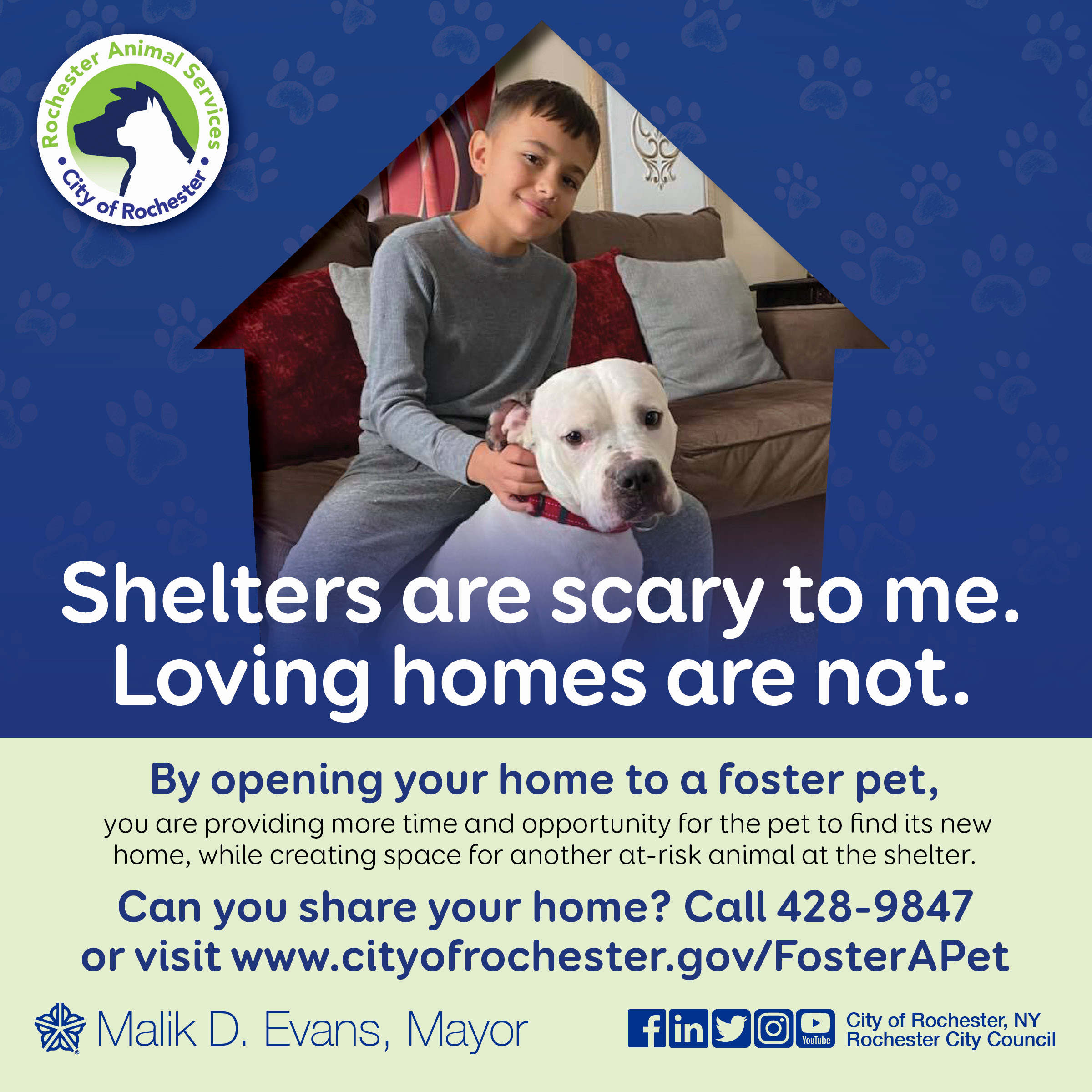 City of Rochester | Pet Foster Program