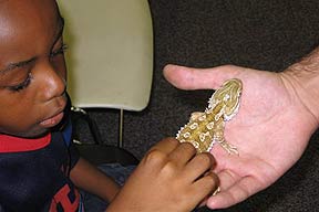 Reptile Guys at Phillis Wheatley Community Library