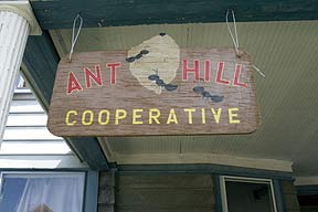 Ant-Hill-Cooperative