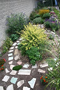 Walkway-Garden